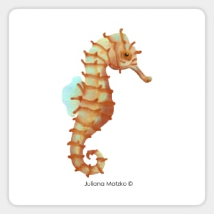 Japanese Seahorse Magnet